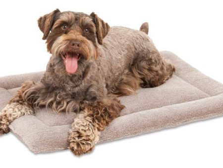 Petmate Kennel Dog Mat Grey 1ea 20.5 in X 14 in Online Hot Sale