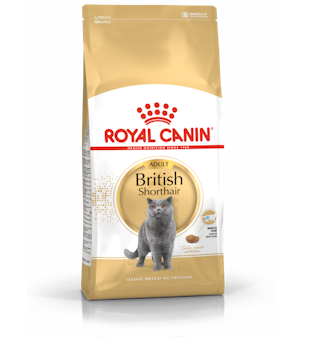 Royal Canin British Short hair Hot on Sale