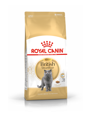 Royal Canin British Short hair Hot on Sale