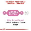 Royal Canin Mother & Baby Cat Online