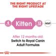 Royal Canin Kitten Second Age Fashion