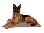 Petmate Kennel Dog Mat Grey 1ea 41.5 in X 26.5 in Supply