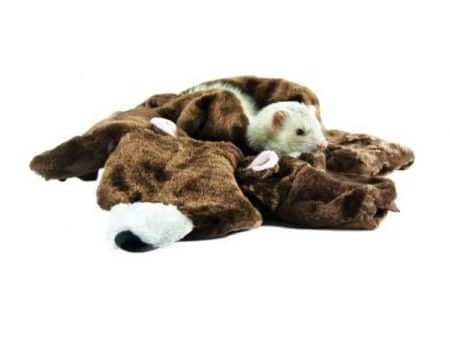 Marshall Small Animal Bear Rug 24  x 20  on Sale