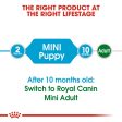 Royal Canin Mini Puppy Fashion