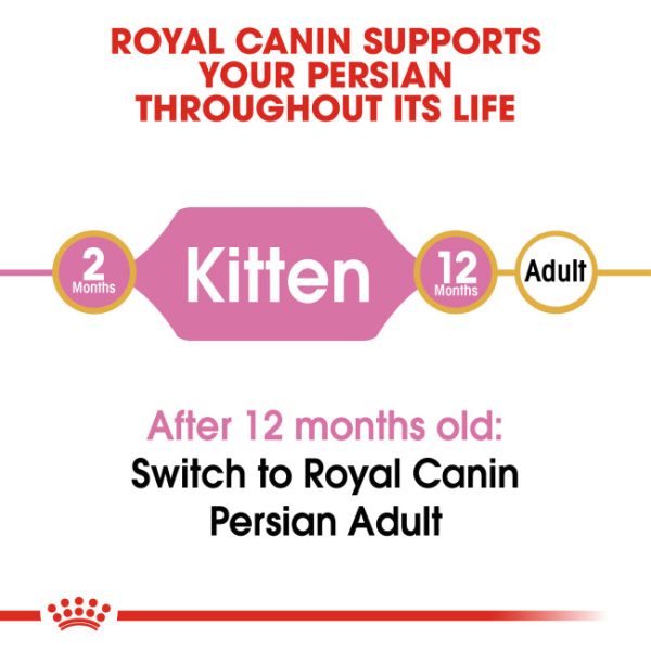 Royal Canin Persian Kitten Online Hot Sale