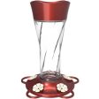 More Birds Twist Glass Hummingbird Feeder For Sale