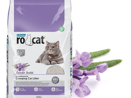 Rocat Cat Litter Online now