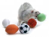 Marshall Pet Products Ferret Sport Balls Assorted 2 In, 2 Pk Online now